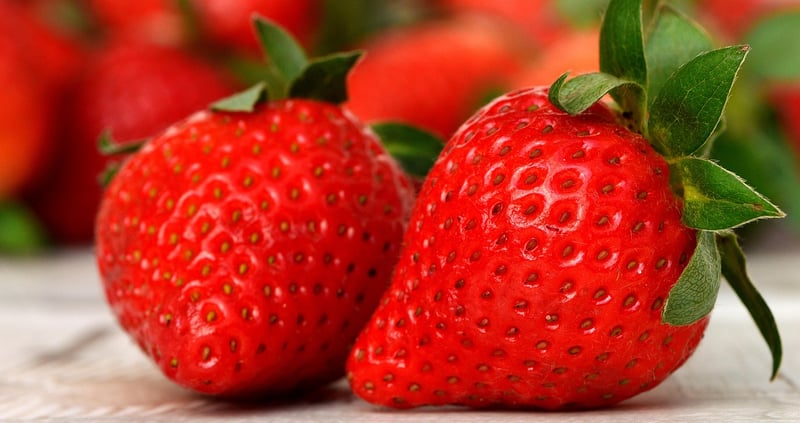 Berries and Fruits